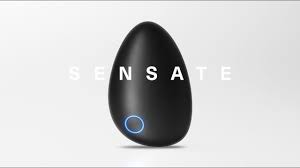 Sensate logo